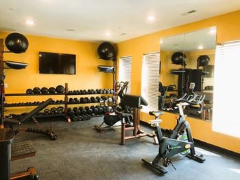 Fitness center, weights, bike 